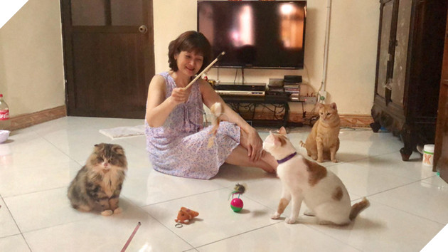 Người phụ nữ sống cùng hơn 40 con mèo bị bỏ rơi ở Hà Nội: Nhiều người bảo tôi là dở hơi đấy - Ảnh 6.