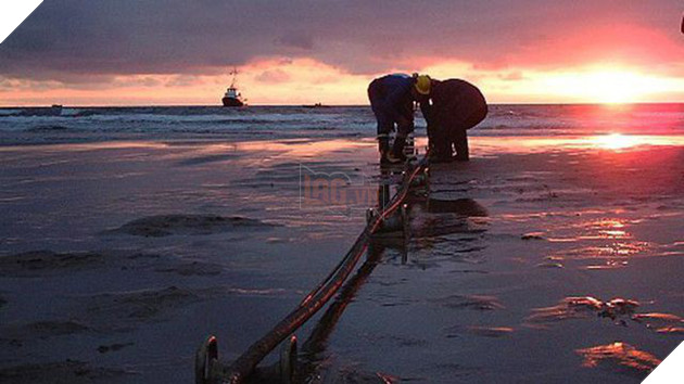 Internet lại bị chậm lag do cáp quang biển AAG gặp sự cố, chưa biết bao giờ mới sửa xong - Ảnh 1.