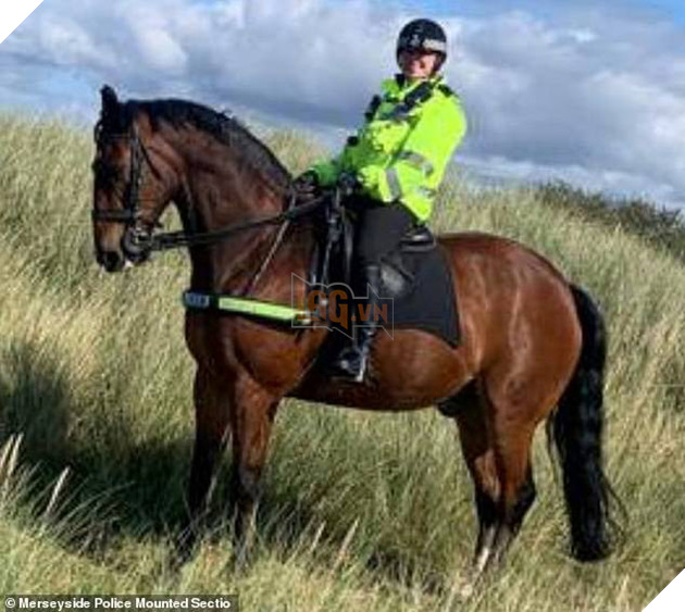 Con ngựa đòi hỏi nhất năm: Sáng ra phải được uống trà mới chịu đi làm - Ảnh 4.