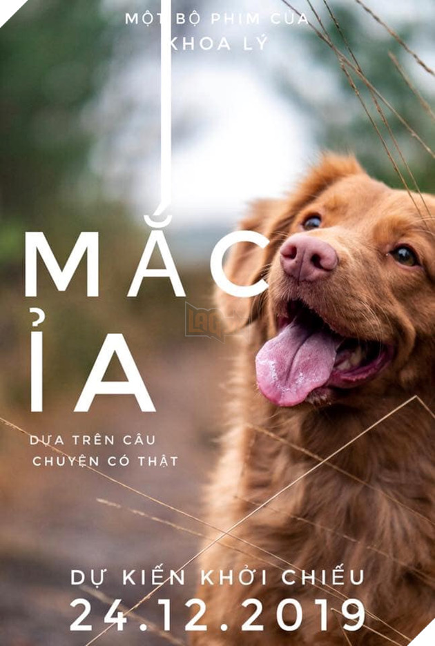 Xuất hiện trên poster phim, các boss tranh spotlight với nữ chính Mắt Biếc 11