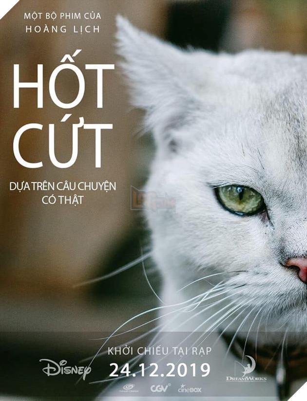 Xuất hiện trên poster phim, các boss tranh spotlight với nữ chính Mắt Biếc 12