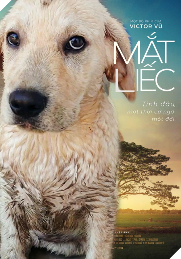 Xuất hiện trên poster phim, các boss tranh spotlight với nữ chính Mắt Biếc 14