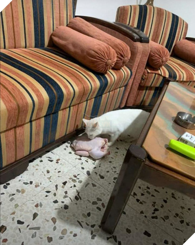 Boss và những khoảnh khắc làm mẹ thiên hạ trong nhà nhưng không một con sen nào dám phàn nàn