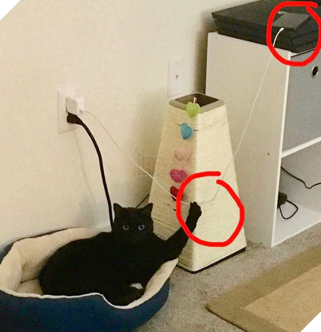 Boss và những khoảnh khắc làm mẹ thiên hạ trong nhà nhưng không một con sen nào dám phàn nàn 2