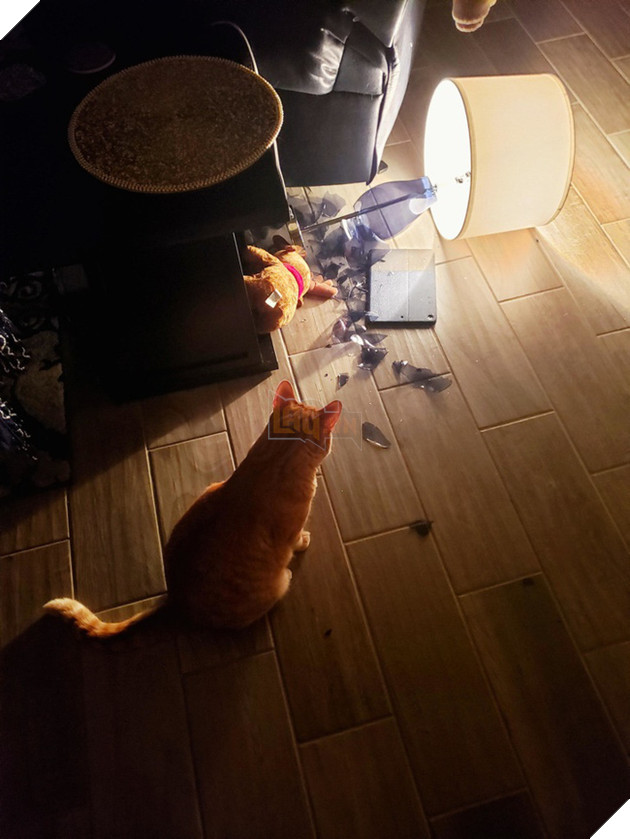 Boss và những khoảnh khắc làm mẹ thiên hạ trong nhà nhưng không một con sen nào dám phàn nàn 6