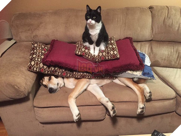 Boss và những khoảnh khắc làm mẹ thiên hạ trong nhà nhưng không một con sen nào dám phàn nàn 8