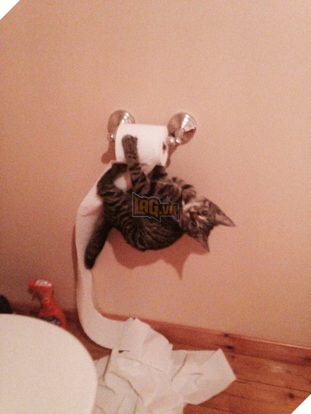 Boss và những khoảnh khắc làm mẹ thiên hạ trong nhà nhưng không một con sen nào dám phàn nàn 9