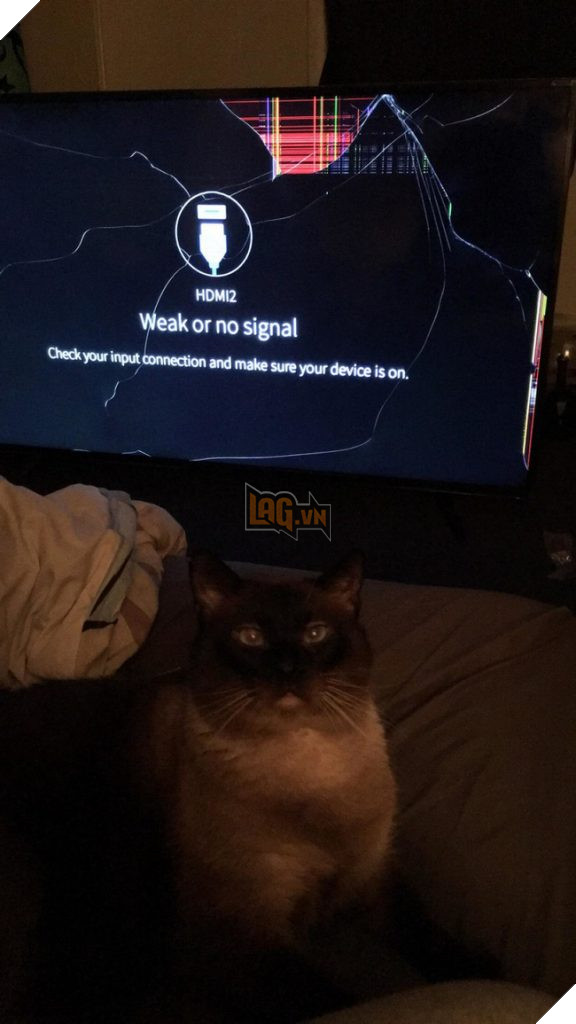 Boss và những khoảnh khắc làm mẹ thiên hạ trong nhà nhưng không một con sen nào dám phàn nàn 10