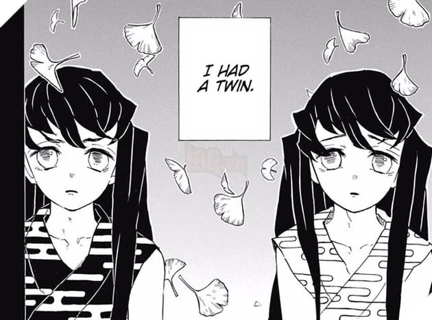 Những chi tiết thú vị này trên mỗi bìa truyện Kimetsu no Yaiba, fan ruột cũng chưa chắc nhận ra được! - Ảnh 6.