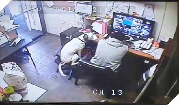 Hình ảnh chú chó ngoan kéo ghế ngồi sát lại gần chủ đang làm việc khiến cộng đồng mạng tan chảy vì quá đáng yêu 2