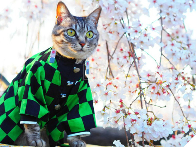 Kimetsu no Yaiba: Phiên bản cosplay Nezuko da màu gây tranh cãi dữ dội trên mạng xã hội - Ảnh 6.