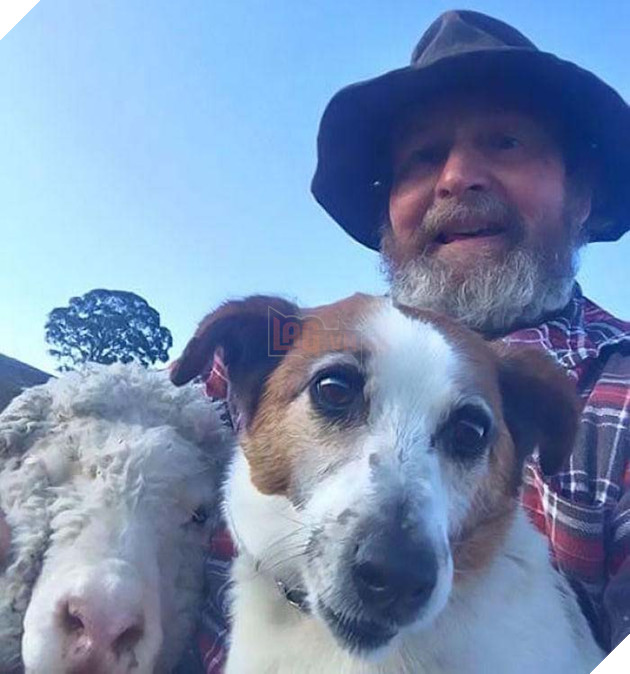 Ngày đẹp trời con gái hướng dẫn bố chụp ảnh tự sướng, bất ngờ bố và thú cưng nổi tiếng khắp MXH 3