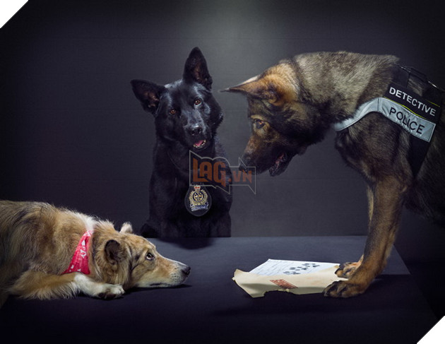 Đi tìm người mẫu chụp ảnh, Bang cảnh sát lại làm bộ ảnh lịch Cảnh Khuyển ngộ nghĩnh đáng yêu  11