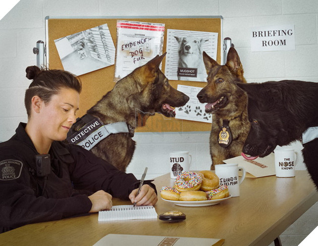 Đi tìm người mẫu chụp ảnh, Bang cảnh sát lại làm bộ ảnh lịch Cảnh Khuyển ngộ nghĩnh đáng yêu  5