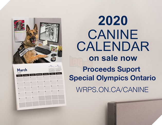 Đi tìm người mẫu chụp ảnh, Bang cảnh sát lại làm bộ ảnh lịch Cảnh Khuyển ngộ nghĩnh đáng yêu  2