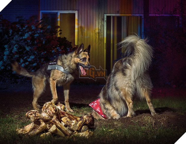 Đi tìm người mẫu chụp ảnh, Bang cảnh sát lại làm bộ ảnh lịch Cảnh Khuyển ngộ nghĩnh đáng yêu  7