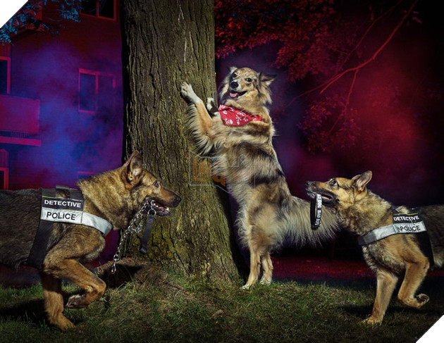 Đi tìm người mẫu chụp ảnh, Bang cảnh sát lại làm bộ ảnh lịch Cảnh Khuyển ngộ nghĩnh đáng yêu  8