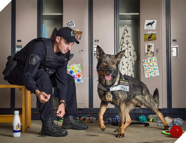 Đi tìm người mẫu chụp ảnh, Bang cảnh sát lại làm bộ ảnh lịch Cảnh Khuyển ngộ nghĩnh đáng yêu  9