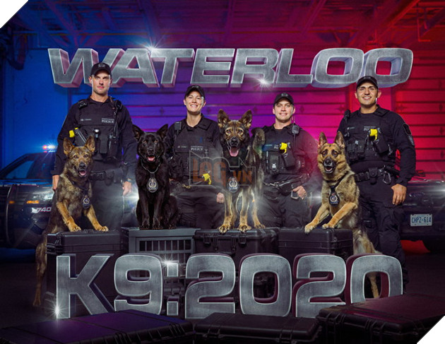 Đi tìm người mẫu chụp ảnh, Bang cảnh sát lại làm bộ ảnh lịch Cảnh Khuyển ngộ nghĩnh đáng yêu  12