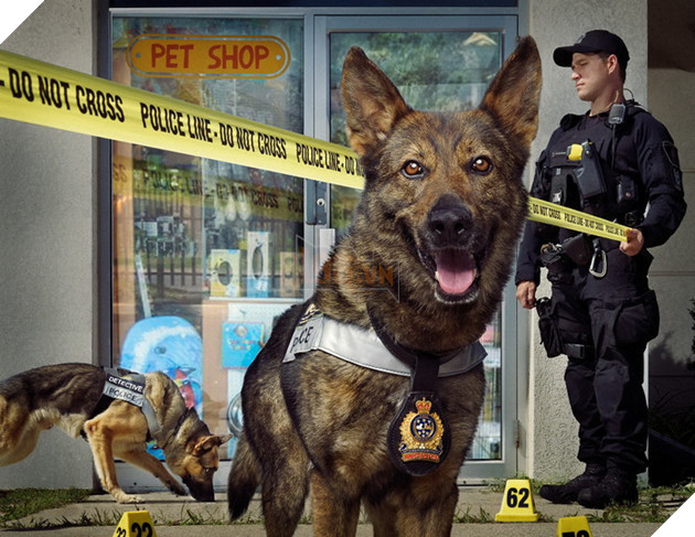 Đi tìm người mẫu chụp ảnh, Bang cảnh sát lại làm bộ ảnh lịch Cảnh Khuyển ngộ nghĩnh đáng yêu  3