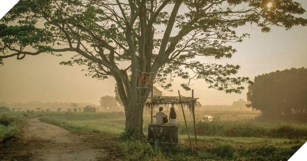 Review Mắt Biếc: Truyện Nguyễn Nhật Ánh hoá tuyệt tác qua bàn tay Victor Vũ 2