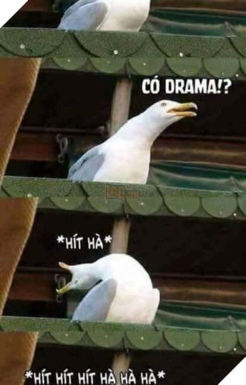 Hít drama là gì?