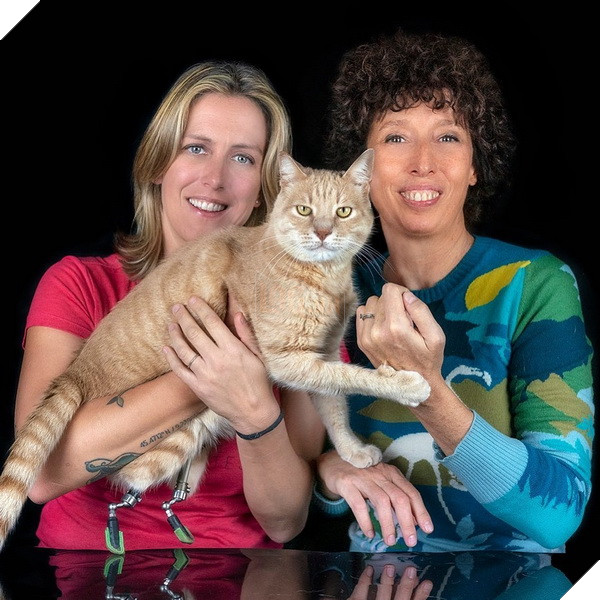 Bé mèo đốn tim cộng đồng mạng với 2 chân giả đáng yêu và vui vẻ chơi đùa 2