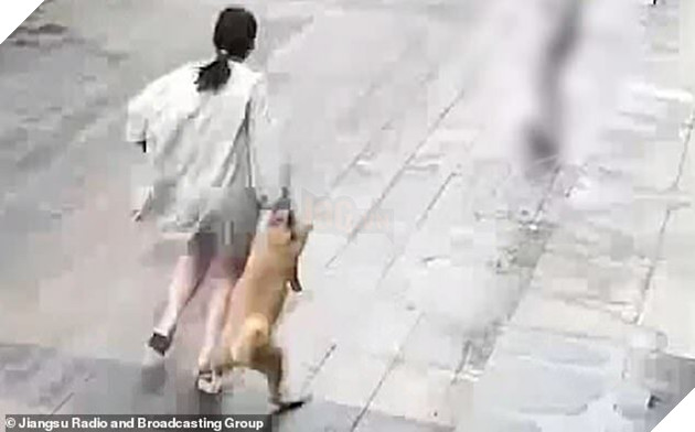 Camera ghi lại hành động trộm cho của du khách. Ảnh: Đài Phát thanh và Truyền hình Giang Tô.