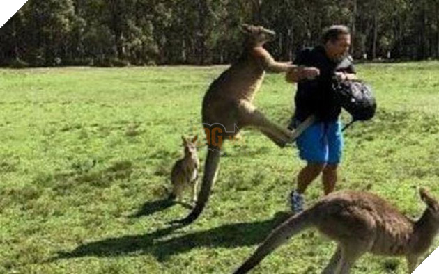  
Cậu chàng đã khiến 3 người bị thương với pha hành động mạnh bạo của mình. 