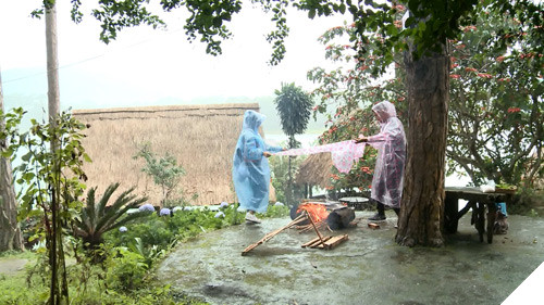 Tieu-su-cua-Thai-Vu-Faptv-11