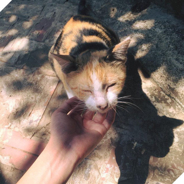 Boss hư hỏng nhất năm: Bỏ nhà 3 tháng, 28 Tết về mang theo cái bụng bầu! - Ảnh 1.