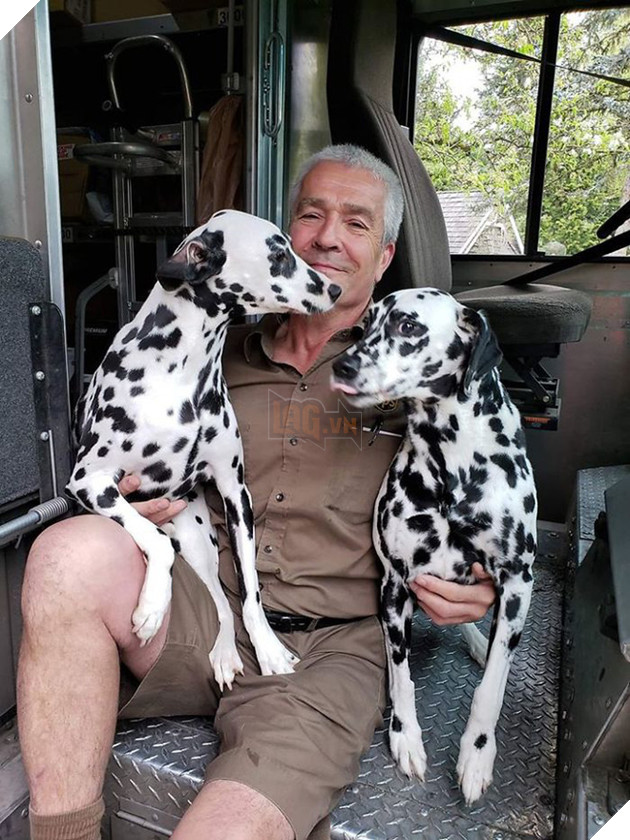 Anh em shipper bên Mỹ lập hẳn group Facebook về những chú chó mà họ gặp hàng ngày khi đang giao hàng 15