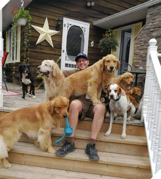 Anh em shipper bên Mỹ lập hẳn group Facebook về những chú chó mà họ gặp hàng ngày khi đang giao hàng 17