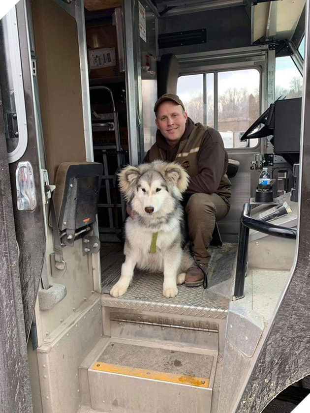 Anh em shipper bên Mỹ lập hẳn group Facebook về những chú chó mà họ gặp hàng ngày khi đang giao hàng 6