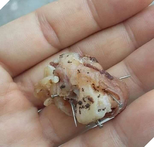  
Ăn vào những thứ này đôi khi chẳng thà ăn thuốc độc còn đỡ đau đớn hơn!