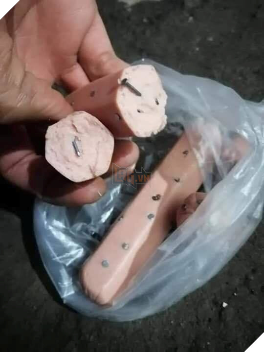  
Thủ đoạn tàn nhẫn này thật khiến người ta nhìn thôi cũng thấy đau lòng.