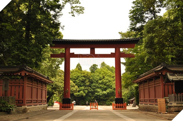 Kết quả hình ảnh cho Thần đạo là gì?