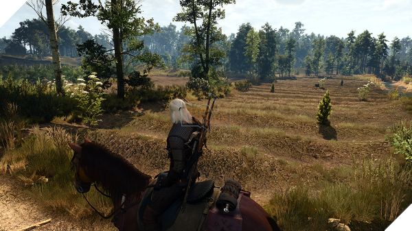 Những bản Mod nâng tầm trải nghiệm The Witcher 3: Wild Hunt khó lòng bỏ qua