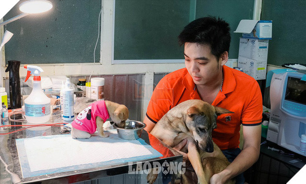 Thoát khỏi lò mổ, chú chó dũng cảm cứu sống đàn con trong bụng Thoát khỏi lò mổ, chú chó dũng cảm cứu sống đàn con trong bụng 5