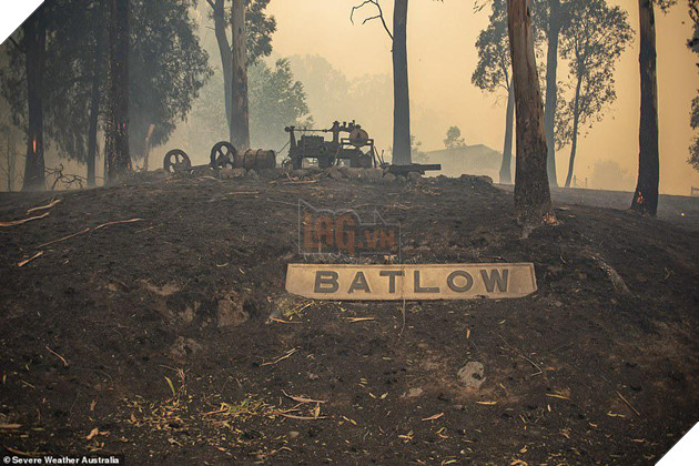 Ám ảnh cháy rừng khủng khiếp ở Úc: Xác gấu túi koala, kangaroo nằm la liệt bên đường