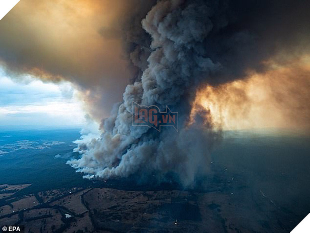 Ơn trời mưa rồi! Trận mưa lớn cứu tinh cho đại thảm họa đã xuất hiện, nhiệt độ giảm làm dịu cơn bão lửa tại Úc - Ảnh 5.