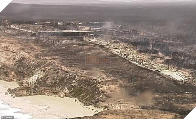 Ám ảnh cháy rừng khủng khiếp ở Úc: Xác gấu túi koala, kangaroo nằm la liệt bên đường 8