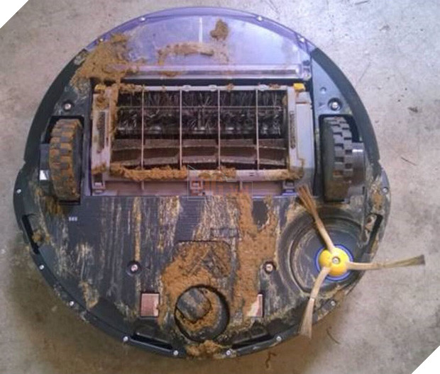 Chớ dại dùng robot hút bụi nếu nhà nuôi chó mèo, nếu không sẽ lãnh hậu quả kinh dị - Ảnh 3.