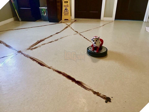 Chớ dại dùng robot hút bụi nếu nhà nuôi chó mèo, nếu không sẽ lãnh hậu quả kinh dị - Ảnh 4.