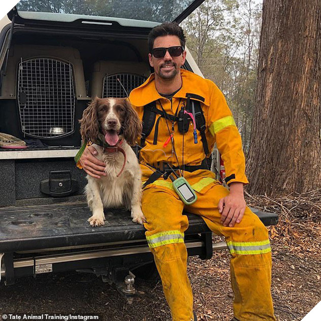 &quot;N&#224;ng ch&#243; triệu đ&#244;&quot; dũng cảm lao v&#224;o đ&#225;m ch&#225;y dữ dội để giải cứu những con gấu koala bị mắc kẹt trong đợt ch&#225;y rừng kinh ho&#224;ng ở &#218;c - Ảnh 1.