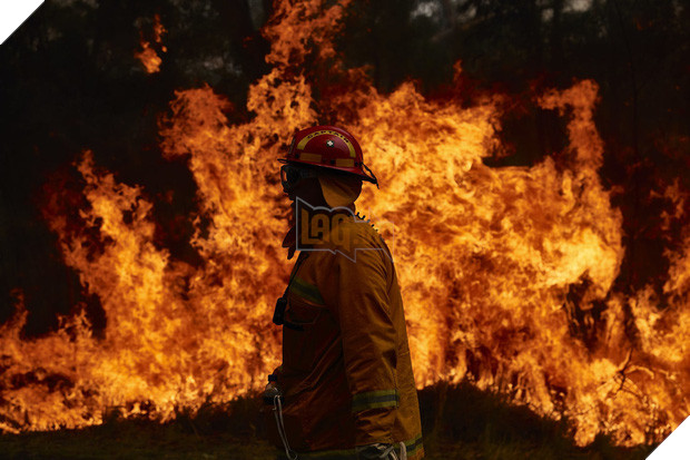 Những tin tức mát lòng giữa bão lửa kinh hoàng, thắp sáng thêm niềm tin và sự lạc quan cho người dân Úc