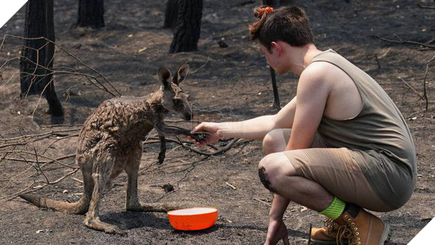 Những tin tức mát lòng giữa bão lửa kinh hoàng, thắp sáng thêm niềm tin và sự lạc quan cho người dân Úc 3