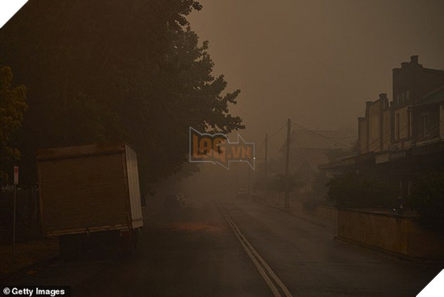 Những tin tức mát lòng giữa bão lửa kinh hoàng, thắp sáng thêm niềm tin và sự lạc quan cho người dân Úc 10