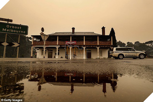 Những tin tức mát lòng giữa bão lửa kinh hoàng, thắp sáng thêm niềm tin và sự lạc quan cho người dân Úc 8