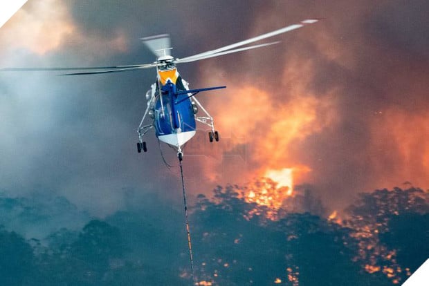 Truy tố 24 người vì tội cố ý phóng hỏa gây ra cháy rừng thảm họa tại Úc: “Họ cảm thấy phấn khích khi nhìn lửa bốc lên” 3